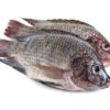Carton tilapia 900g
