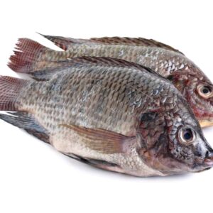 Carton tilapia 900g